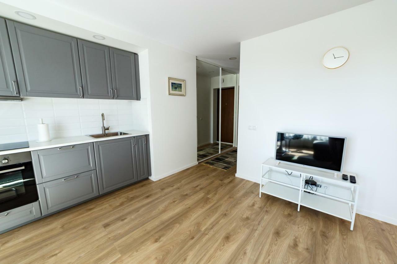 וילנה Spacious Apartment Close To The Old Town מראה חיצוני תמונה